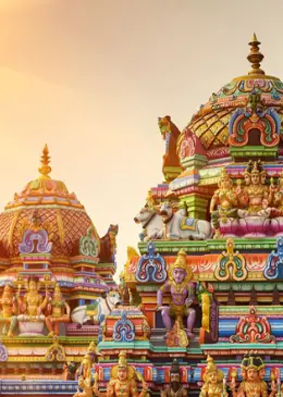 South India Tour